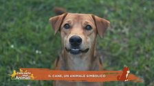 Il cane, un animale simbolico