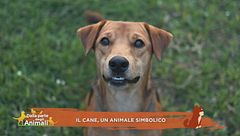 Il cane, un animale simbolico