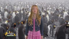 Stella's World: il pinguino imperatore