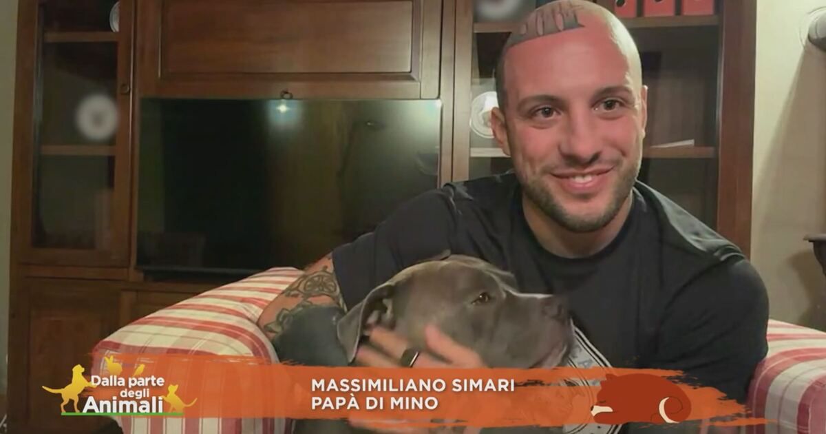Dalla parte degli animali: Massimiliano Simari, papà di Mino Video ...
