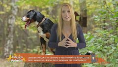 Legge Brambilla, finalmente giustizia