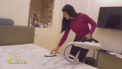 La cura della casa quando si hanno animali domestici: pulizia del materasso