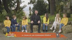 Il cavallo, un compagno fedele
