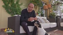 Zoe, la vivacissima amica di: Bruno Vespa