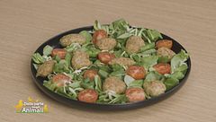 Felafel di lenticchie