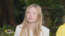 Il cervo, un animale dalla grande anima