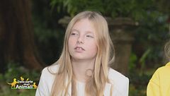 Il cervo, un animale dalla grande anima