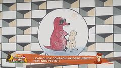 I cani guida: compagni insostituibili per i non vedenti