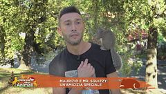 Maurizio e Mr. Squizzy