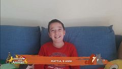 Le domande dei bambini