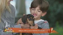 Tesla con la sua nuova famiglia