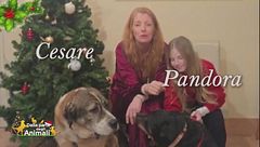 Una nuova famiglia per Natale