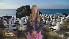 Stella's world: l'albatros