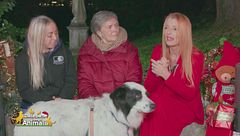 La nuova vita di Zeus