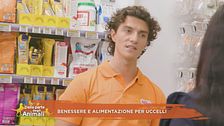 Benessere e alimentazione per uccelli