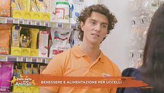 Benessere e alimentazione per uccelli