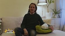 Gli amici pelosi di Matteo Martinasso