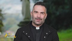 Le formiche, un team perfetto