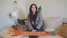 L'amicizia speciale tra Mary e la piccioncina Piuppiu