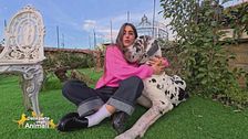 Renato, il gigante buono più famoso del web