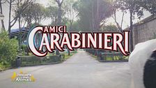 Amici Carabinieri