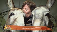 Elisa e i suoi asini