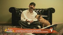 La storia di Roccuzzo