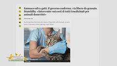 Diritti in prima linea