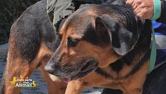 Una famiglia per Jao