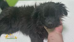 Quando abbiamo trovato Meghi