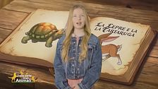 Stella's World: La lepre e la tartaruga