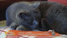 L'amico coccolone di Vittorio Feltri