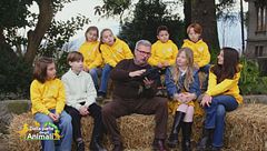 Lo sapevate che il faggiano...