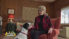 Nina, la cagnolina in simbiosi con: Enrica Bonaccorti