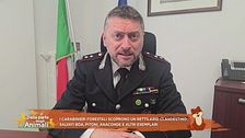 I carabinieri forestali scoprono un rettilario clandestino