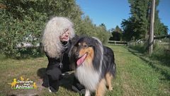 Collins, Tigre e Lupo, i figli pelosi di: Donatella Rettore