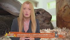 Finalmente giustizia