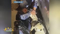 Un salvataggio particolare