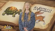 Stella's world: la lepre e la tartaruga
