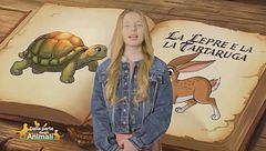 Stella's world: la lepre e la tartaruga