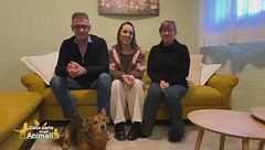 Una nuova vita per Napoleone, cane fedele