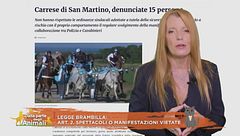 Legge Brambilla: art. 2