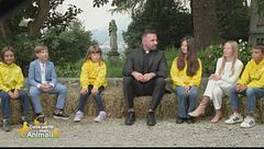 Il leone, il re coraggioso