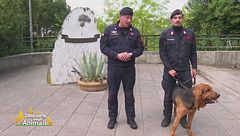 Amici Carabinieri