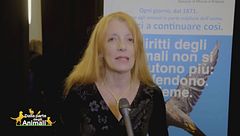 Speedy News -Diritti in prima linea