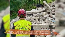 Il centro carabinieri cinofili di Firenze