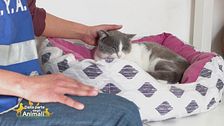 Elio ha bisogno di coccole