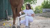 Un cavallo per amico