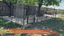 Diritti in prima linea