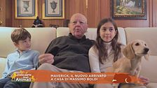 Maverick, il nuovo arrivato a casa di Massimo Boldi